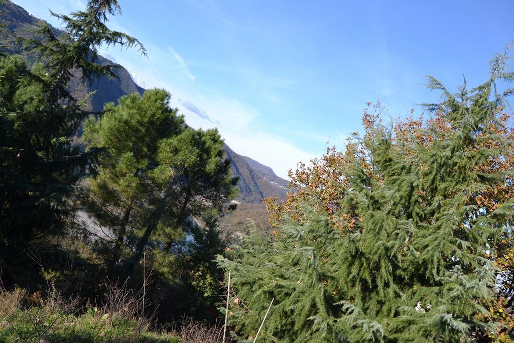 Toscana Nord Ovest - Tra La Costa Apartments Albiano Magra Eksteriør billede